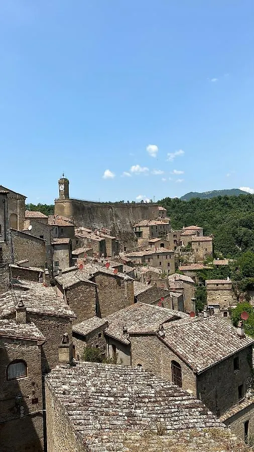 Palazzo Palloni: Piano Nobile Sorano  0*, Sorano (Grosseto)